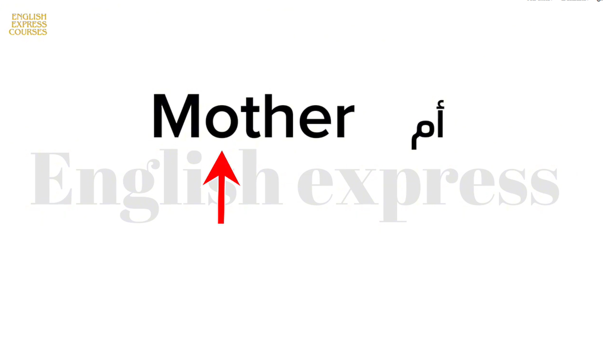 تحديث عن العائلة