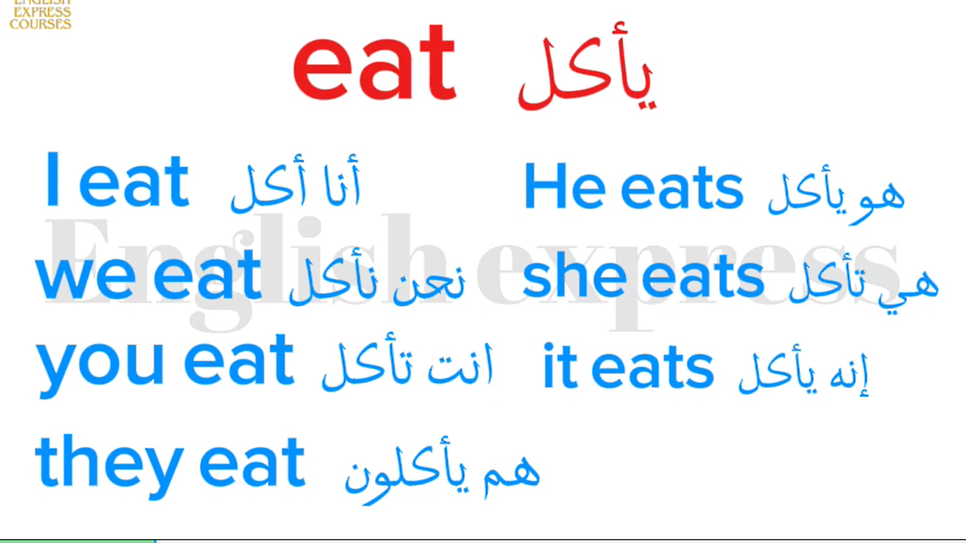 don't / doesn't - المضارع البسيط مع
